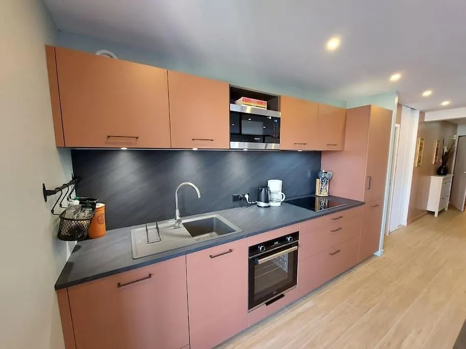 Charmant Appartement Lac D'Annecy / Ski - 6 Pers Menthon-Saint-Bernard France